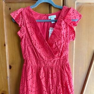 NWT Pink Embroidered Eyelet Dress (S)